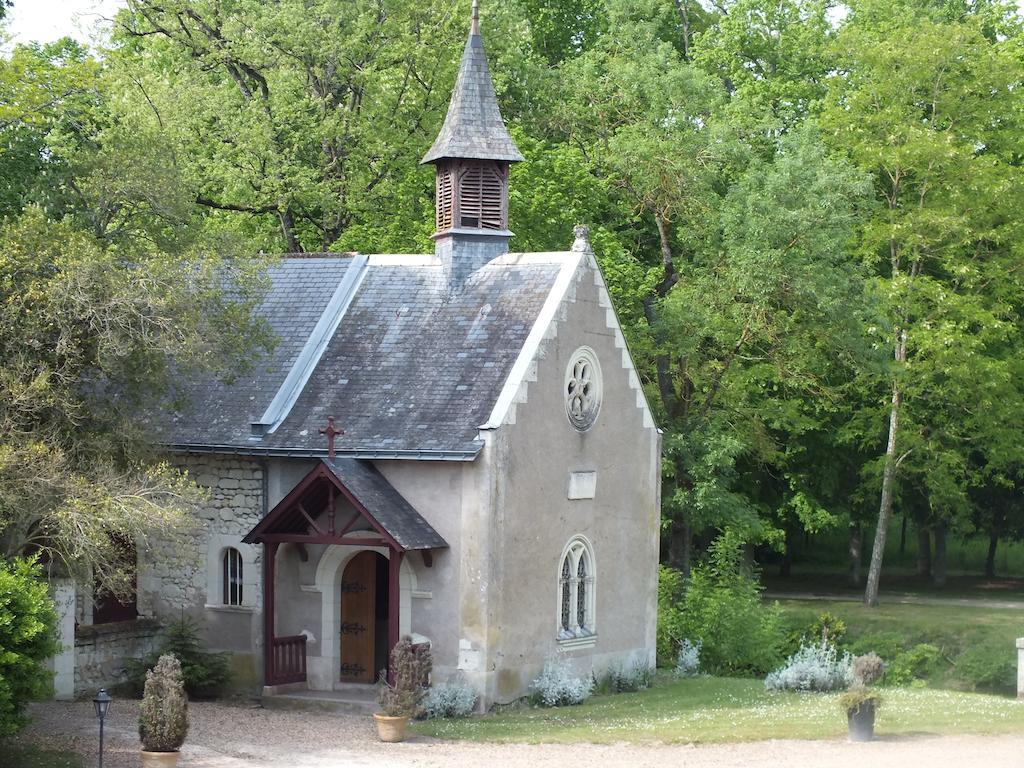 Chateau De Naze Vivy-Saumur Kültér fotó